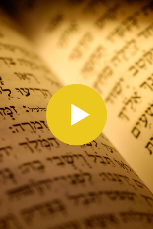 Learn the Ancient Languages Track