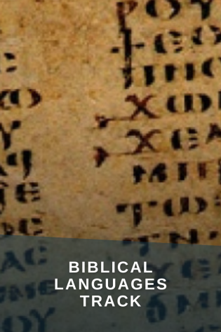 Biblical Languages Track